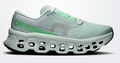 On Cloudmonster 3